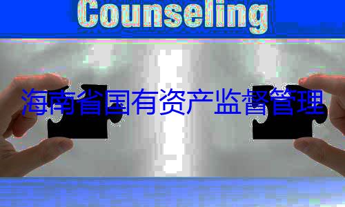 海南省国有理委员会党委副书记王查调查资产监督管有福接受审